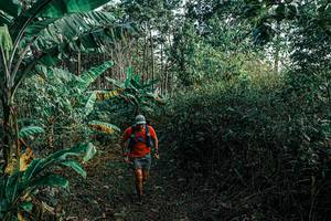 BIB: 
                            <button type="button" onclick="openModal(25659675)" class="btn btn-primary btn-sm float-right btn-popup" data-toggle="modal" data-target=".modal-high-quality">
                        <i class="fas fa-shopping-cart"></i> Add to Cart
                    </button>
                                            <button type="button" onclick="isThisMe(25659675, true)" class="btn btn-success btn-sm float-right btn-popup btn-isme hidden" data-toggle="tooltip" data-placement="bottom" title="นี่คือรูปของคุณใช่ไหม คลิกที่นี่เพื่อเอาเข้าอัลบั้ม">
                        <i class="fas fa-plus"></i> Add to album
                    </button>
                    <button type="button" onclick="isThisMe(25659675, false)" class="btn btn-warning btn-sm float-right btn-popup btn-isnotme hidden">
                        <i class="fas fa-ban"></i> Remove from album
                    </button>